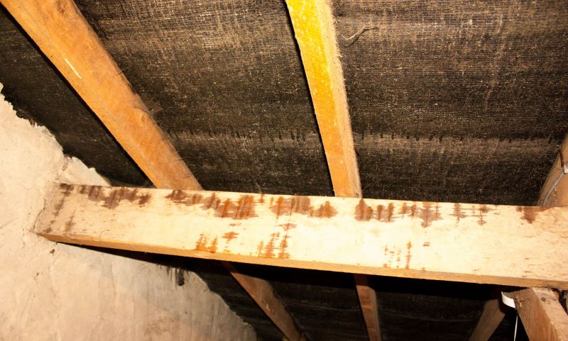 Home Restoration in Katy, TX